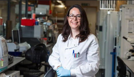 Oxford Bundibugyo ebolavirus vaccine candidate receives CEPI backing &mdash; Oxford Vaccine Group | Virology News | Scoop.it