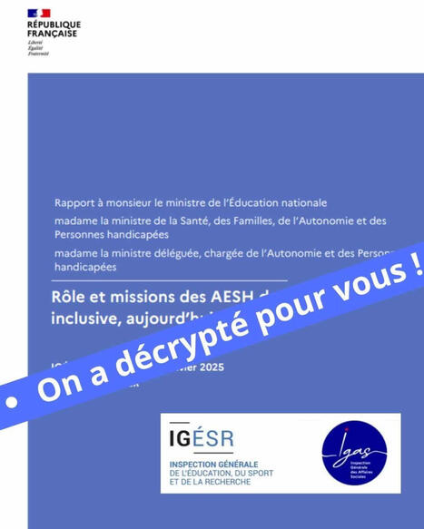AESH, inclusion : le rapport qui &eacute;trille le mod&egrave;le fran&ccedil;ais | Protection sociale | Scoop.it