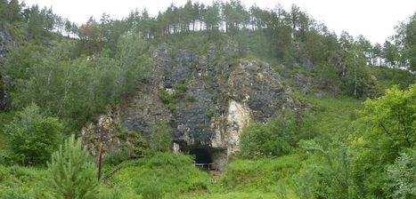 Novel collagen fingerprinting identifies a Neanderthal bone among 2,000 fragments | Amazing Science | Scoop.it