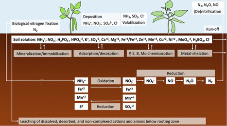 Review of research and innovation on novel fertilizers for crop nutrition | npj | RMH | Scoop.it