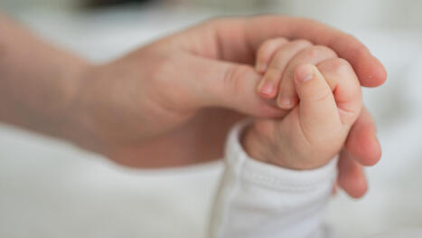 Miracle de la science : un enfant est n&eacute; en juillet 2025... d&rsquo;un embryon congel&eacute; en 1994 | Bio&eacute;thique & Procr&eacute;ation | Scoop.it