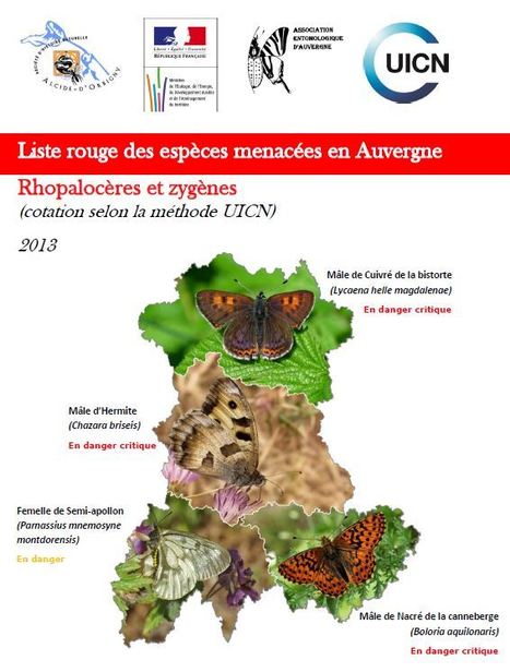 La liste rouge régionale des papillons diurnes pour l’Auvergne - DREAL Auvergne-Rhône-Alpes | Insect Archive | Scoop.it