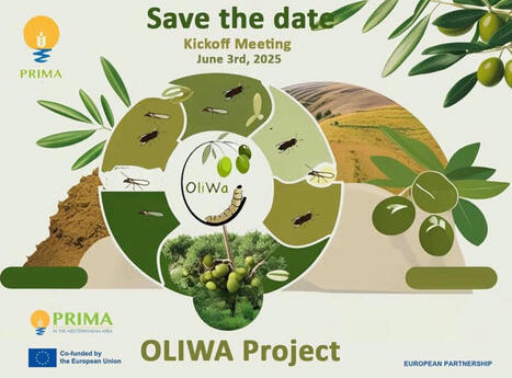 Projet Oliwa: L’Algérie partenaire aux coté de 5 pays | ITERG Environnement et Eco-industries | Scoop.it