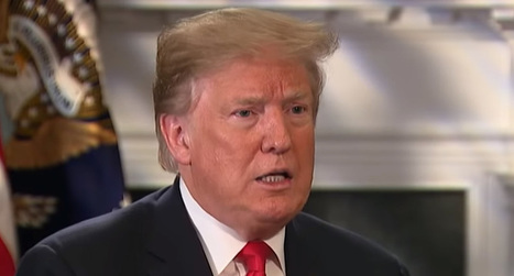 Trump claims World Health Organization coronavirus death rate is fake news – Raw Story | Operation Deimos | Scoop.it