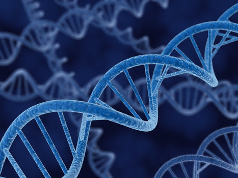 Corporate Culture and Understanding Your Workplace Genome | Culture Change | Scoop.it