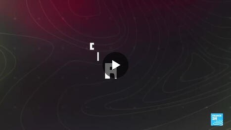 L'ECHO DEMETER :  Géopoltiique du soja | L'ECHO DEMETER | Scoop.it