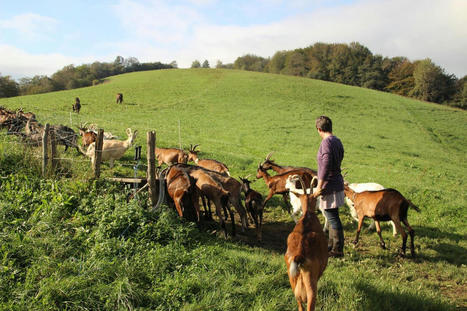 Agriculture : les projets du Pays basque attirent l’attention de la Région | BABinfo Pays Basque | Scoop.it