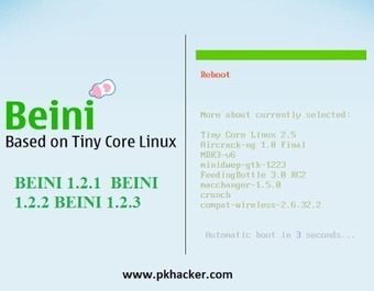 beini 1.2.3 iso