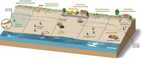 Guide, page web : le nettoyage manuel des plages bien exposé – Rivages de France | Biodiversité | Scoop.it