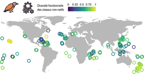 Pourquoi la biodiversité de toutes les îles du monde finit par se ressembler | ECOLOGIE - ENVIRONNEMENT | Scoop.it