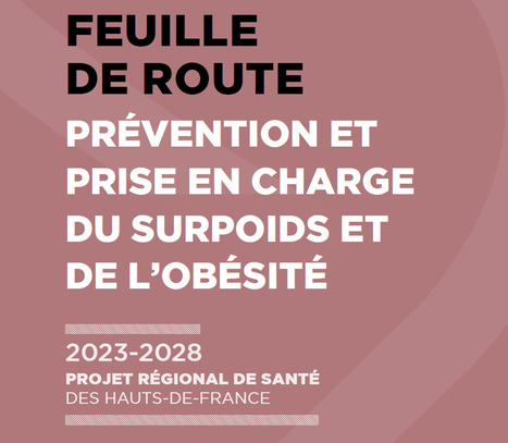 L'ARS Hauts-de-France publie une feuille de route pour la pr&eacute;vention et la prise en charge du surpoids et de l'ob&eacute;sit&eacute;&nbsp; | GRIEPS | Scoop.it