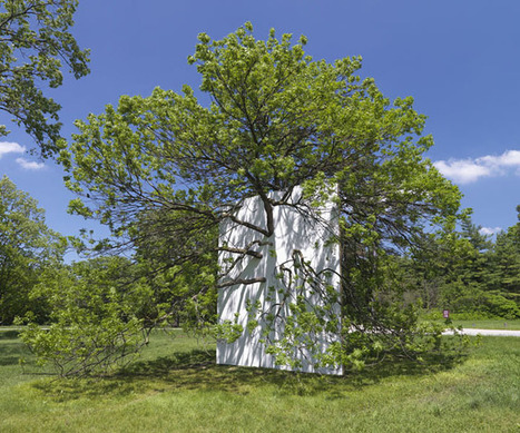 Letha Wilson: Wall in Blue Ash Tree | Art Installations, Sculpture, Contemporary Art | Scoop.it