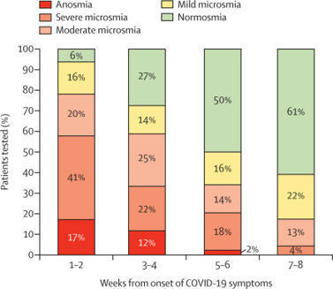 The mechanisms of smell loss after SARS-CoV-2 infection | Covid-19, SARS-Cov-2, vaccines, Remdesivir, Chloroquine...and all that Jazz | Scoop.it