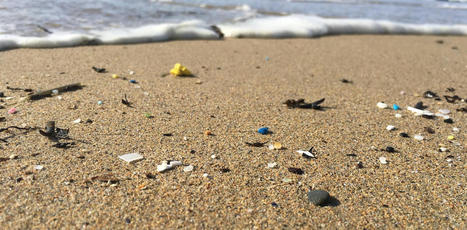ZONES CÔTIÈRES : Polluants émergents : pourquoi est-il si difficile d’améliorer la qualité des eaux littorales ? | CIHEAM Press Review | Scoop.it