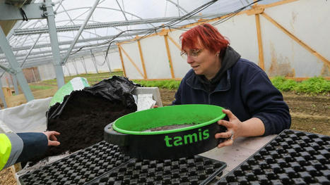 Agn&egrave;s, salari&eacute;e de la ferme urbaine Concorde&nbsp;: &laquo;&nbsp;Je me suis d&eacute;couvert une passion&nbsp;&raquo; | Nature en ville | Scoop.it