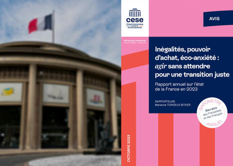 In&eacute;galit&eacute;s, pouvoir d'achat, &eacute;co-anxi&eacute;t&eacute;... le Cese analyse les diff&eacute;rentes formes du malaise fran&ccedil;ais | Veille juridique du CDG13 | Scoop.it