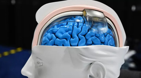 «Pour les transhumanistes, l'idée que tout ne soit pas possible est devenue irrecevable» | Science & Transhumanisme | Scoop.it