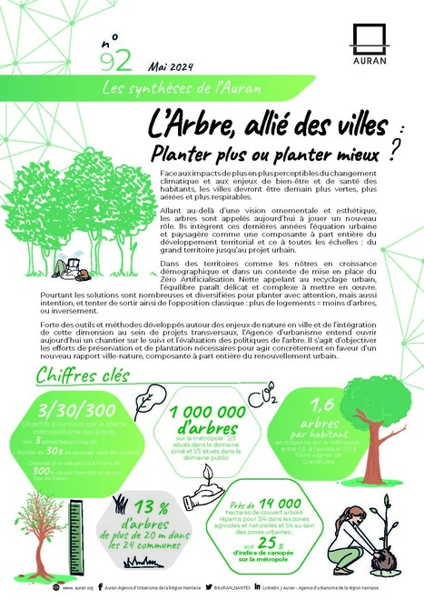 L'arbre, allié des villes : planter plus ou planter mieux ? – Les synthèses de l’Auran #92 | ZAN - Zéro artificialisation nette | Scoop.it