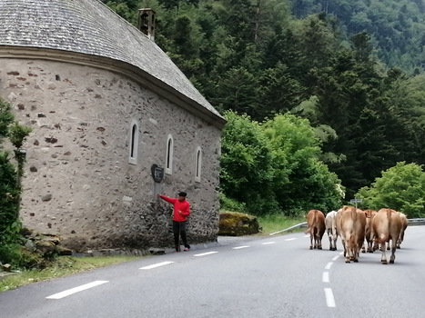Des estivantes en route vers la Gela | Vallées d'Aure & Louron - Pyrénées | Scoop.it