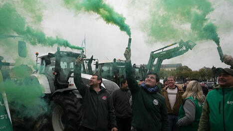 Mobilisation des agriculteurs : manifestations, actions… les tracteurs sont de retour dans la rue  | Questions de développement ... | Scoop.it