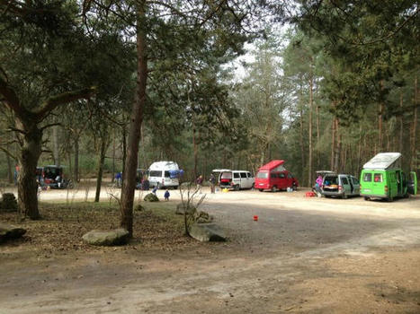 [BLEAU] Les parking du massif forestier de Fontainebleau sont interdits la nuit - | Voyages,Tourisme et Transports... | Scoop.it