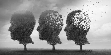 Quelles sont les données qui montrent la dégradation de la santé psychique des Français ? | Veille informative du CDIR de Croix-Rouge Compétence Occitanie | Scoop.it