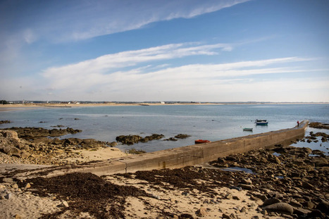 L’école Nouveaux Rivages propose des formations sur-mesure pour la résilience du littoral | Formation : Innovations et EdTech | Scoop.it