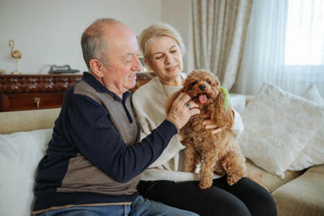 How to Choose the Right Pet for a Senior Citizen  | Fashion & Lifestyle | Scoop.it