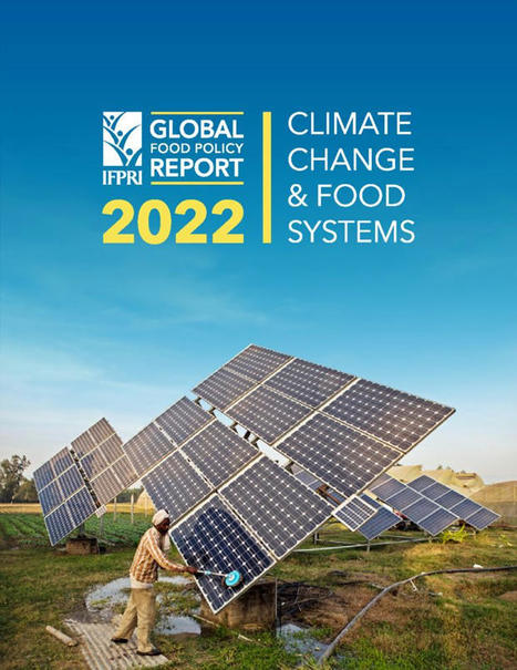 2022 Global FOOD policy report: Climate change and food systems - IFPRI  | MED-Amin network | Scoop.it