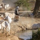 Le Soudan affecte plus de 40.000 hectares de terres agricoles &agrave; l'Egypte | MED-Amin network | Scoop.it