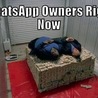 Funny Pic And Wallpapers