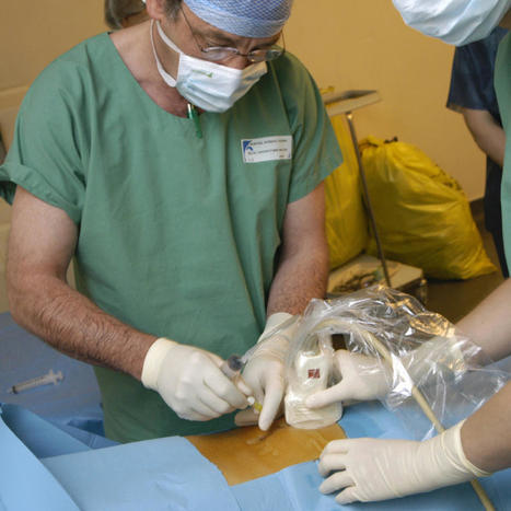 Le comit&eacute; d'&eacute;thique interroge l'eug&eacute;nisme dans la m&eacute;decine actuelle et future &bull; HOSPIMEDIA | Bio&eacute;thique & Procr&eacute;ation | Scoop.it