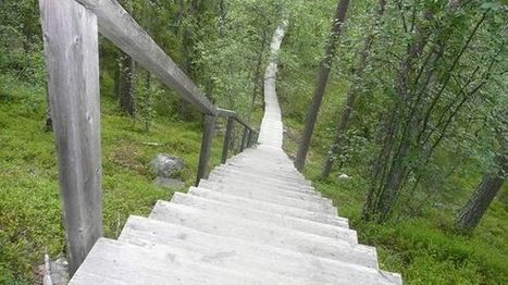 Metsähallituksen tulostavoite 121 miljoonaa | 1Uutiset - Lukemisen tähden | Scoop.it