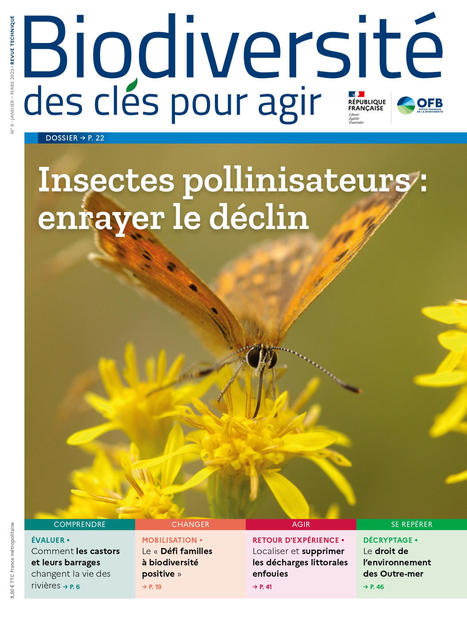 [Biodiversité, des clés pour agir] Parution du numéro 4 et son dossier "Insectes pollinisateurs : enrayer le déclin" | Pipistrella | Scoop.it