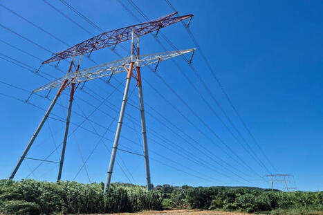 En Camargue, des lignes &agrave; haute tension exempt&eacute;es d&rsquo;&eacute;valuation environnementale | Environnement - &Eacute;nergie | Scoop.it