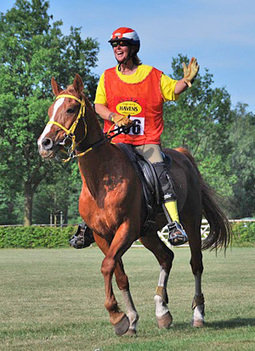 Horse dies after endurance champs accident - News - Horsetalk.co.nz | Cheval et sport | Scoop.it