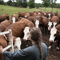 Les installés « non issus du milieu agricole » : des producteurs comme les autres ? - Agreste | Agriculture en Pays de la Loire | Scoop.it