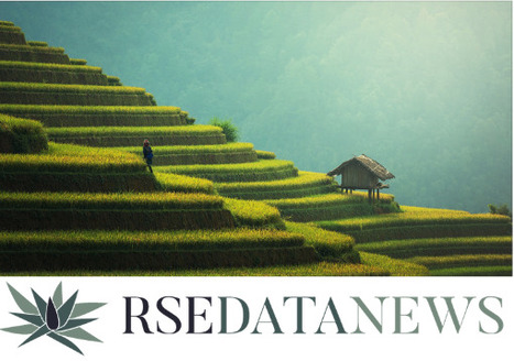 RSE : les entreprises françaises progressent, les PME et les ETI vertueuses (Ecovadis) | EcoVadis dans la Presse | Scoop.it