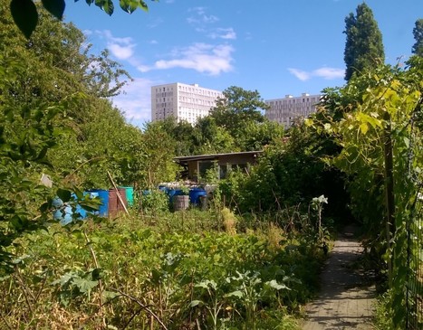 Revue Sur-Mesure | Cultiver en ville, action-clé de la transition écologique et agricole régionale | ESPACES VEGETALISES URBAINS | Scoop.it