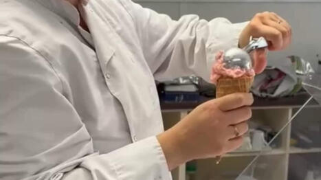 Ils vendent leurs glaces artisanales tout l'&eacute;t&eacute; au Ch&acirc;teau des ducs de Bretagne &agrave; Nantes - Ouest France | Agriculture en Pays de la Loire | Scoop.it