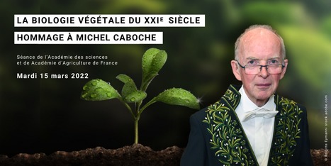 Académie des sciences - La biologie végétale du XXIe siècle - Hommage à Michel Caboche, 15 mars. | SEED-DREAM Lab info | Scoop.it