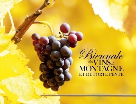 Chambéry | Manège : "Biennale des Vins de Montagne et de Forte Pente, inauguration le 16 janvier | Ce monde à inventer ! | Scoop.it