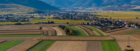 Les apports des agro-équipements et des technologies numériques pour une protection durable des cultures - INRAE | Pour innover en agriculture | Scoop.it