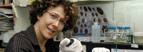 Coup de projecteur sur la scientifique Andrea Gamarnik : la première femme argentine élue à l’Académie américaine de microbiologie | EntomoScience | Scoop.it