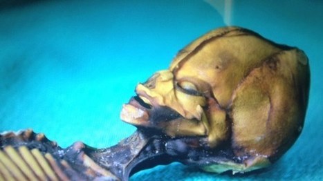 UFO documentary reveals “humanoid of unknown classification” | Science, Space, and news from 'out there' | Scoop.it