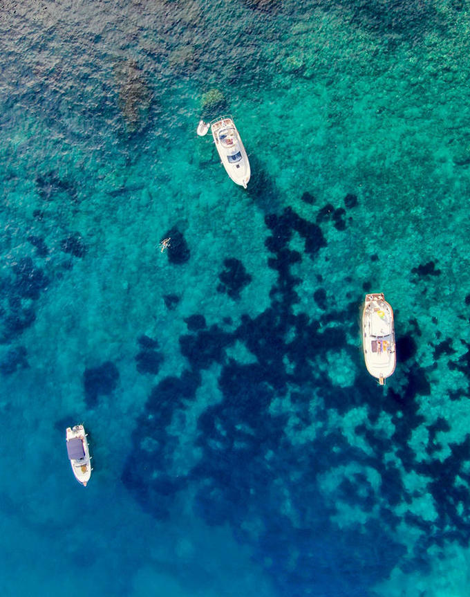 ENVIRONNEMENT: Révolution digitale et protection de la biodiversité, le duo gagnant pour une Méditerranée exemplaire d’ici 2030