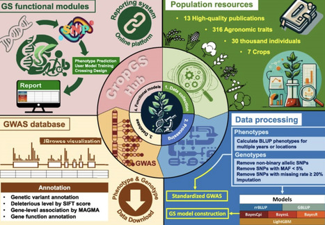 CropGS-Hub: a comprehensive database of genotyp...