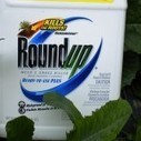 Sri Lankan President Bans Sale of Roundup Over Chronic Kidney Disease Study | The Asian Food Gazette. | Scoop.it