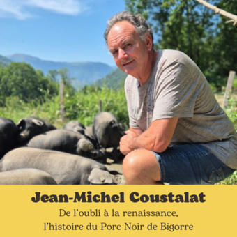 De l'oubli &agrave; la renaissance, l'histoire du Porc Noir de Bigorre by &Eacute;chos de Ferme | Vall&eacute;es d'Aure & Louron - Pyr&eacute;n&eacute;es | Scoop.it