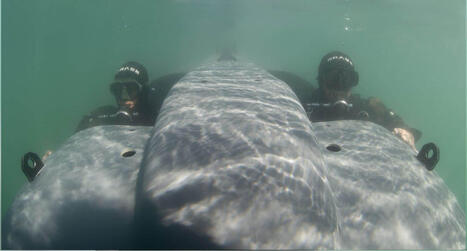 DRASS Delivers Two Swimmer Delivery Vehicles to Indonesia | DEFENSE NEWS | Scoop.it